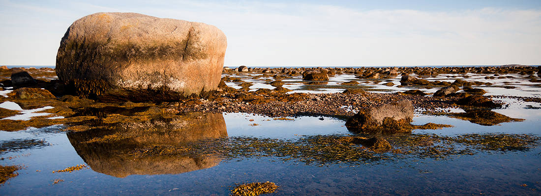 Large rock on beach with seaweed and pools of water close by 