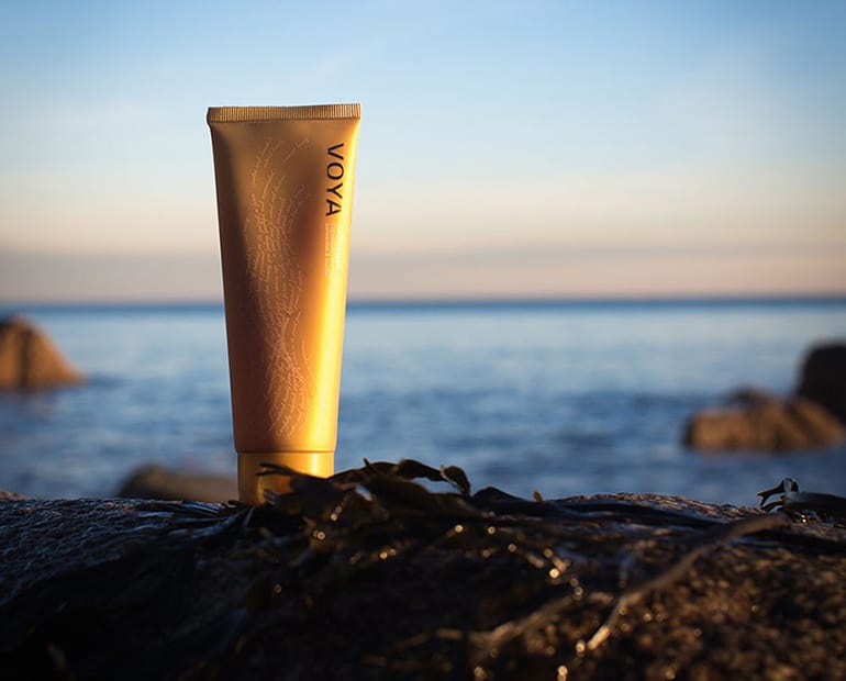 Voya product sitting on seaweed with the sea as a background 