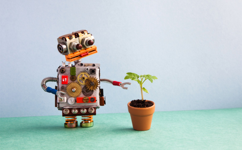 Toy robot with seedling in plant pot