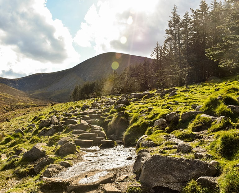 Rocky field with mountain in background