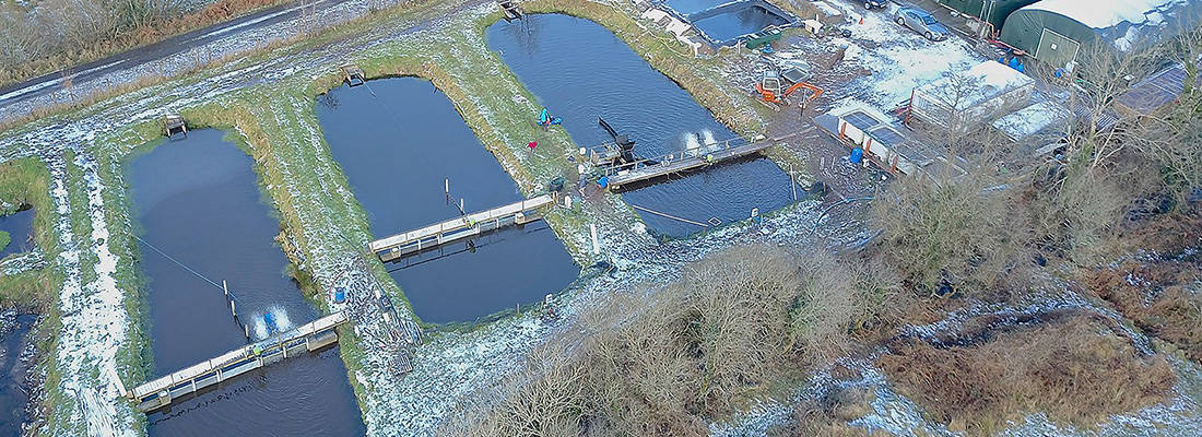 birds eye view of fish farm 