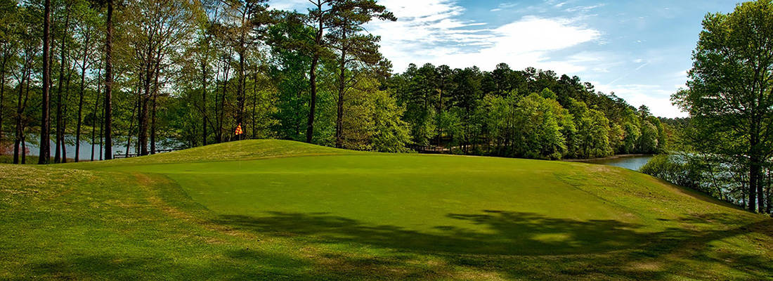Close up of golf course green with trees in background