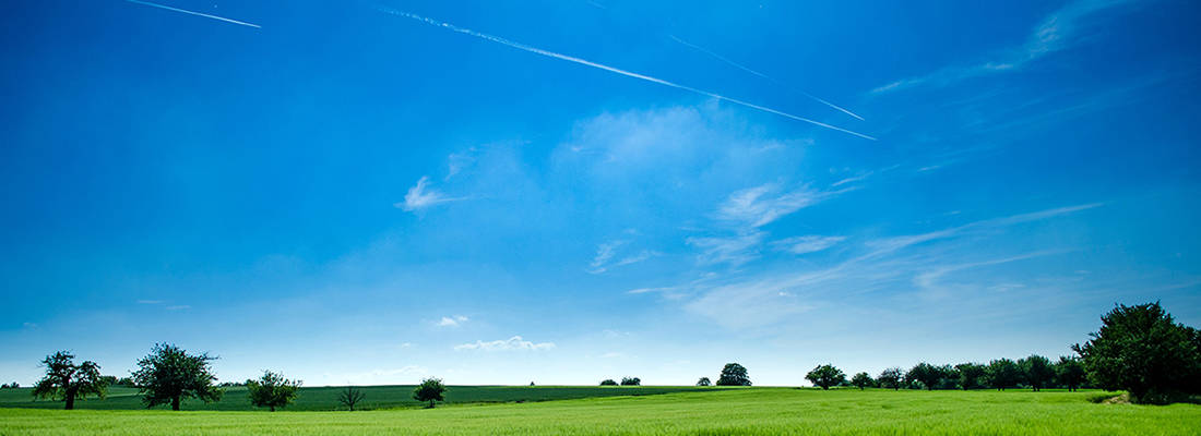 Green Field with blue sky