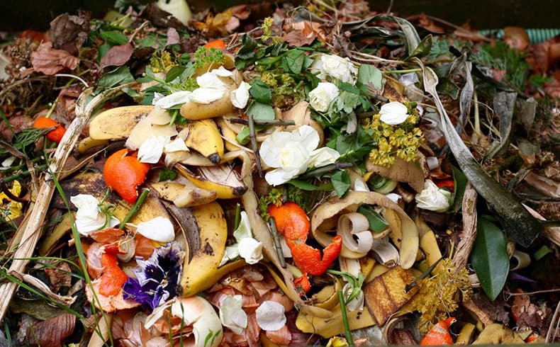 Colourful close up of food waste and vegetable peelings