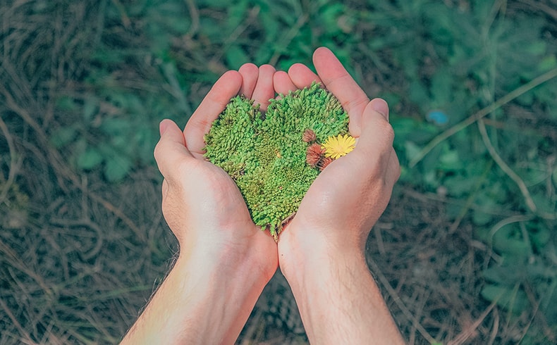 Pair of hands holding grass in the shape of a heart