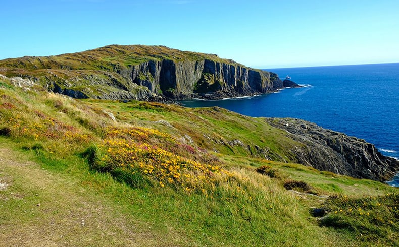 Green field in foreground leading to cliffs and sea